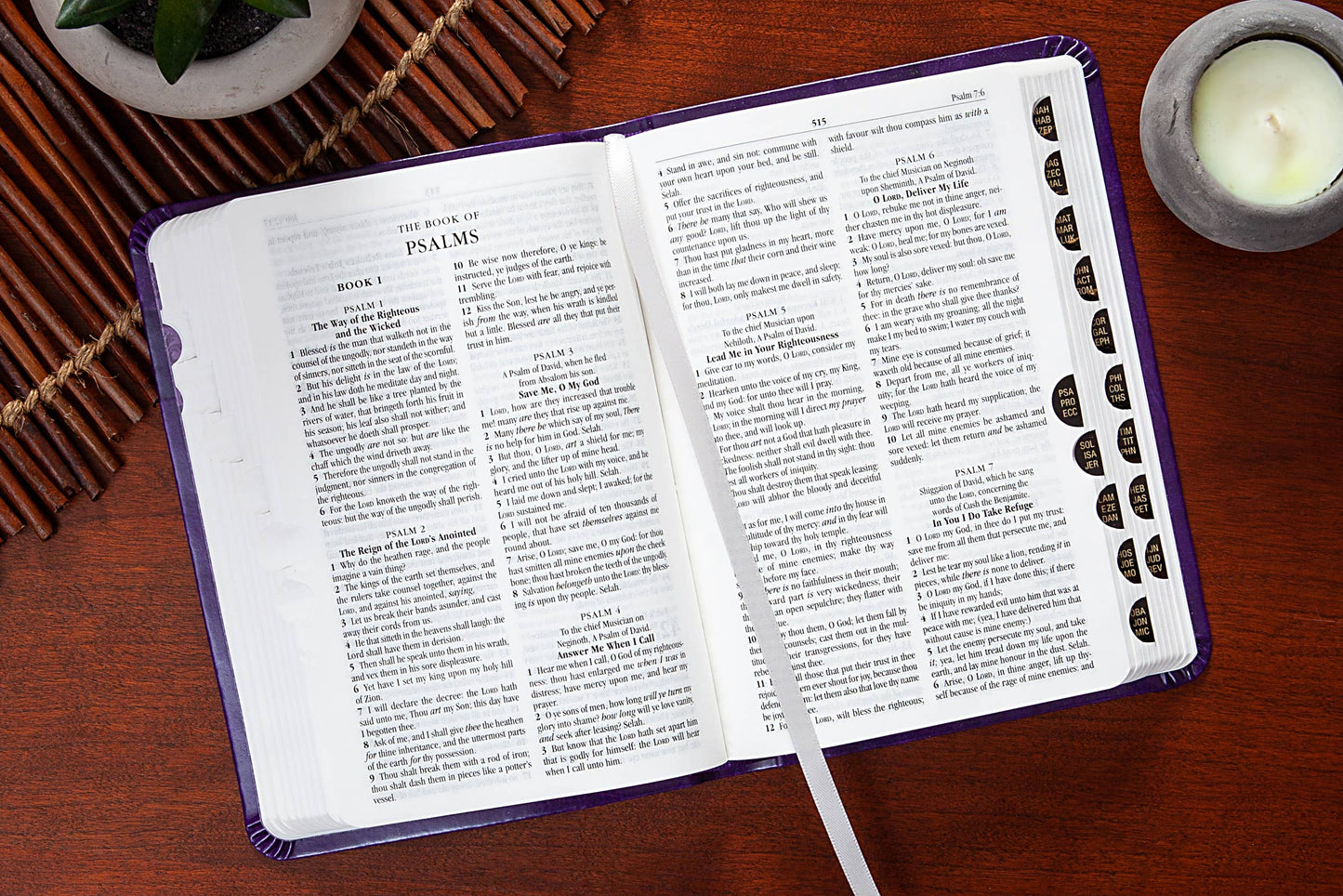 KJV Bible - Compact Amethyst - The Speckled Dove