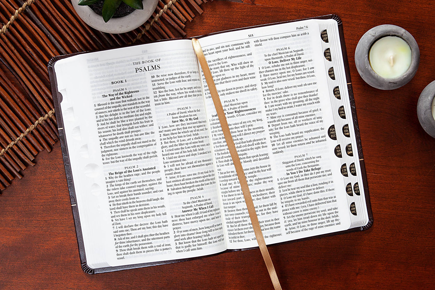 KJV Bible - Mulberry - Standard Size - The Speckled Dove