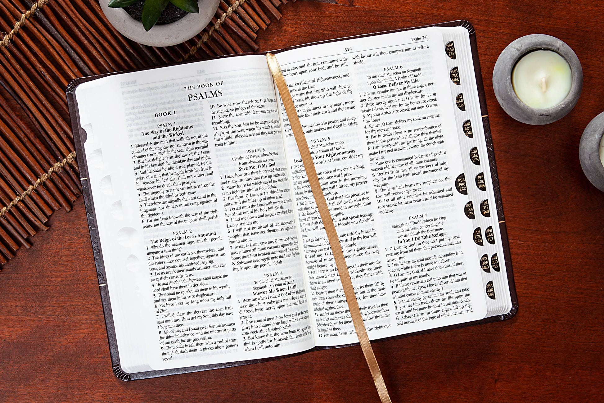 KJV Bible - Mulberry - Standard Size - The Speckled Dove