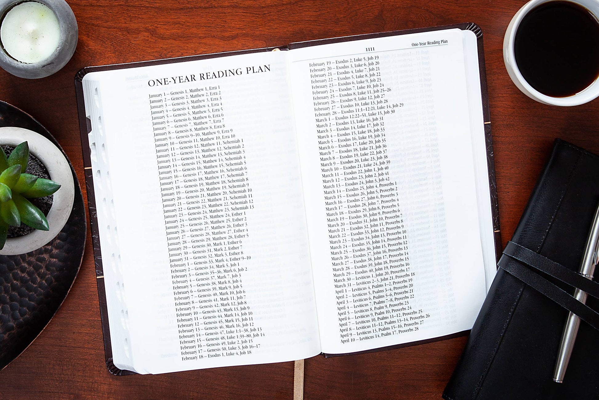 KJV Bible - Mulberry - Standard Size - The Speckled Dove