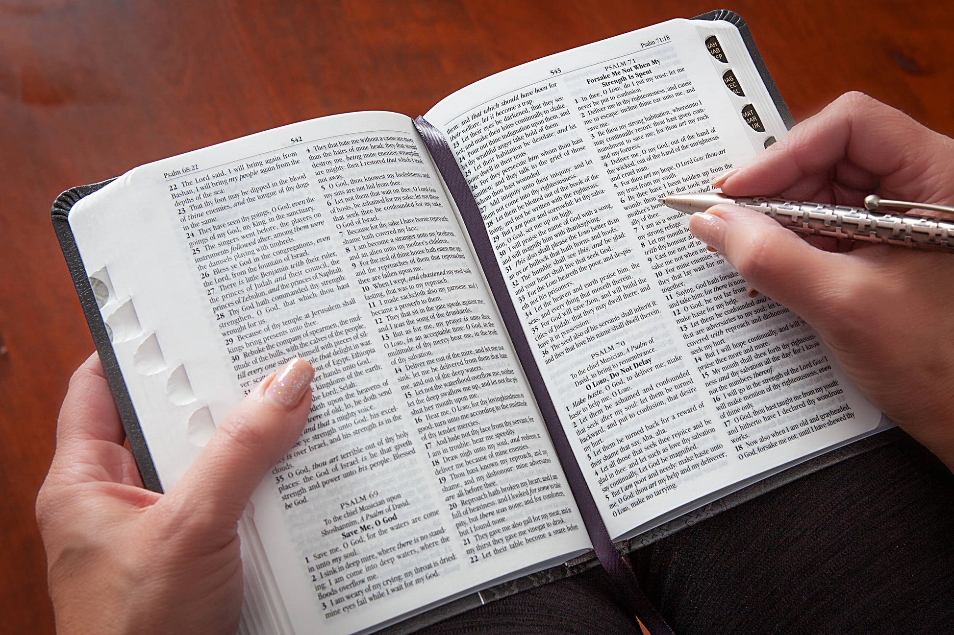 KJV Bible - Compact Amethyst - The Speckled Dove