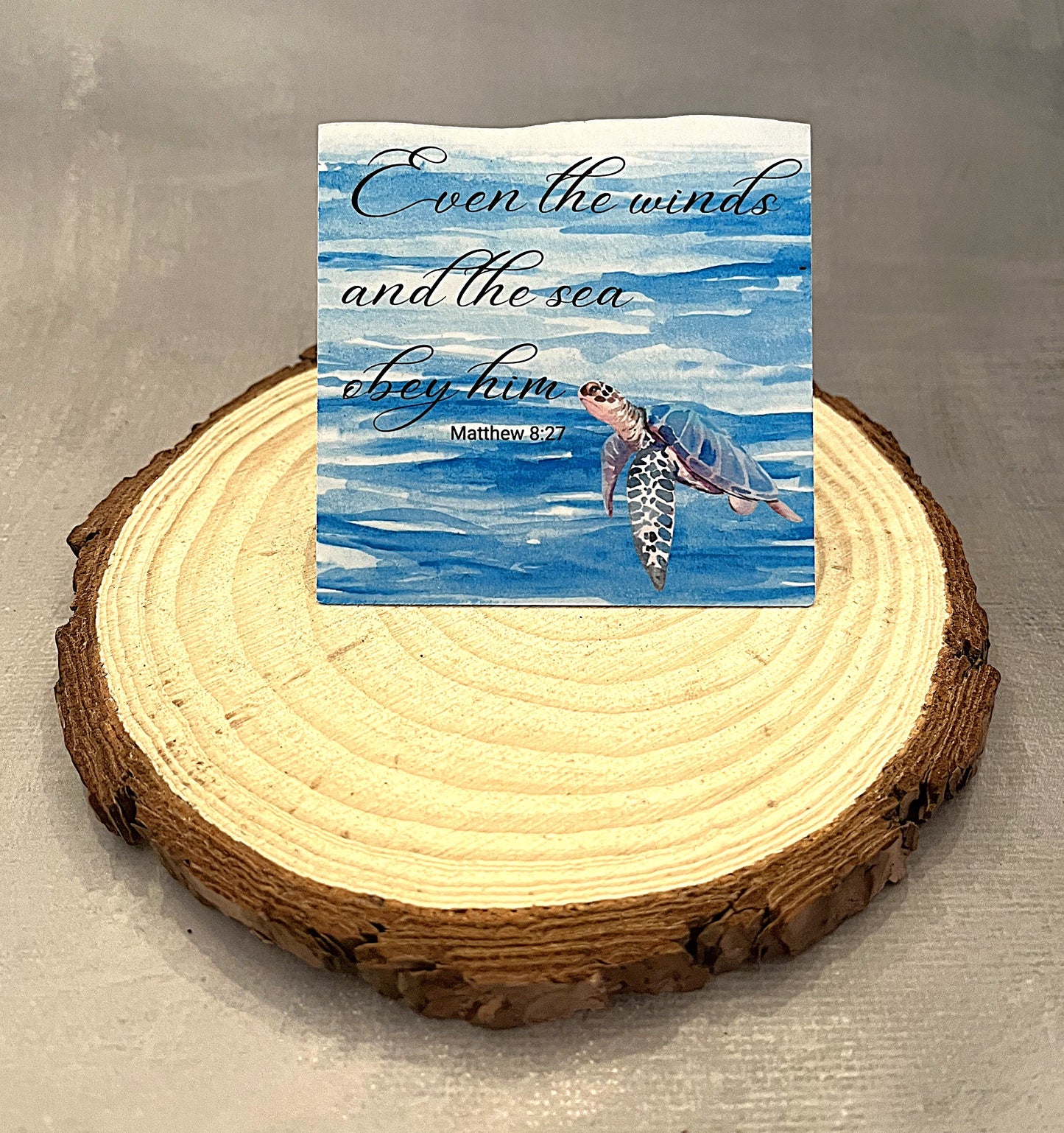 Even the Winds and the Sea Obey Him vinyl turtle Sticker - The Speckled Dove