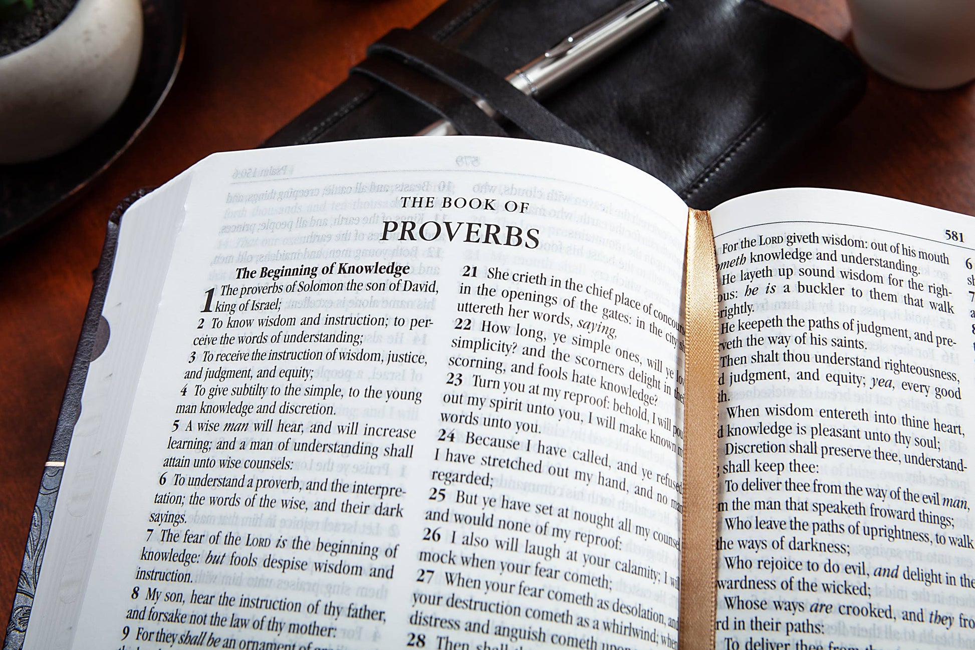 KJV Bible - Mulberry - Standard Size - The Speckled Dove
