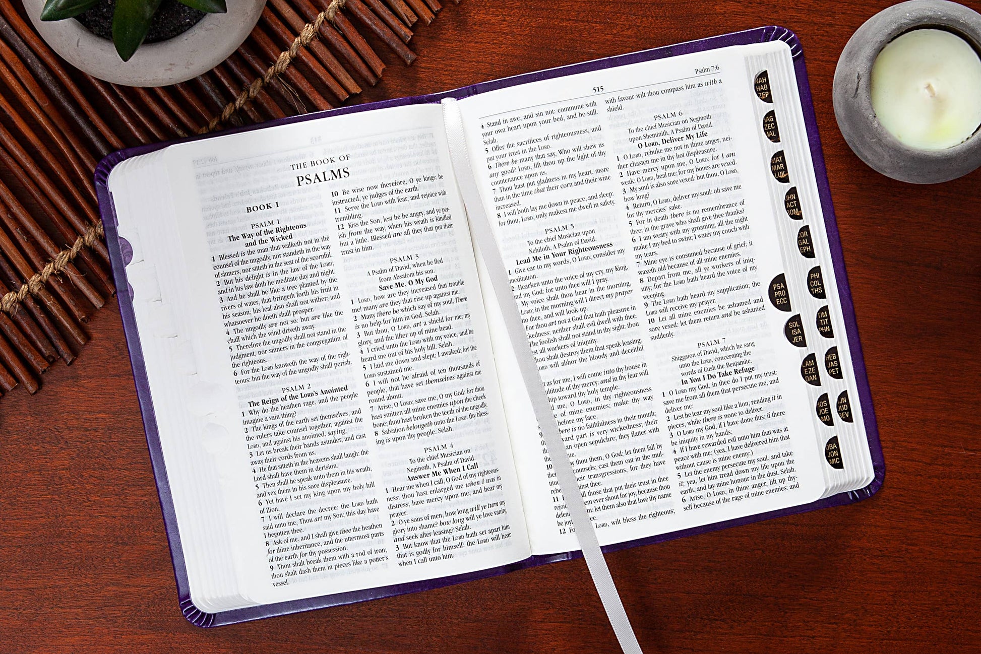 KJV Bible - Compact Amethyst - The Speckled Dove